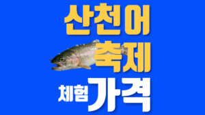 화천 산천어축제 입장료