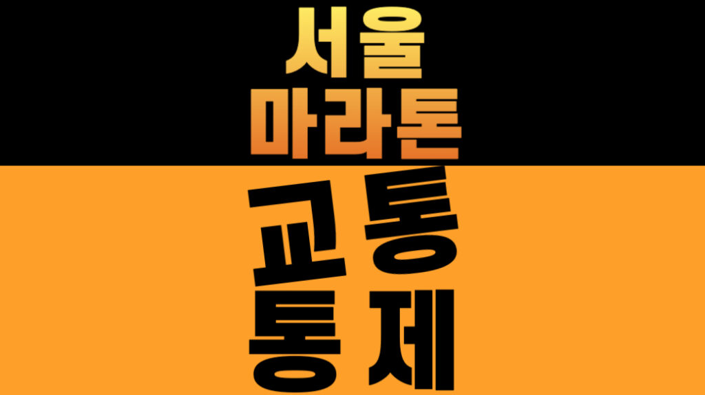 2026 서울마라톤 교통통제