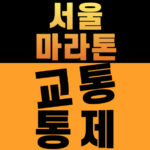 2026 서울마라톤 교통통제