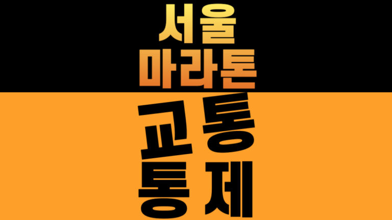 2026 서울마라톤 교통통제