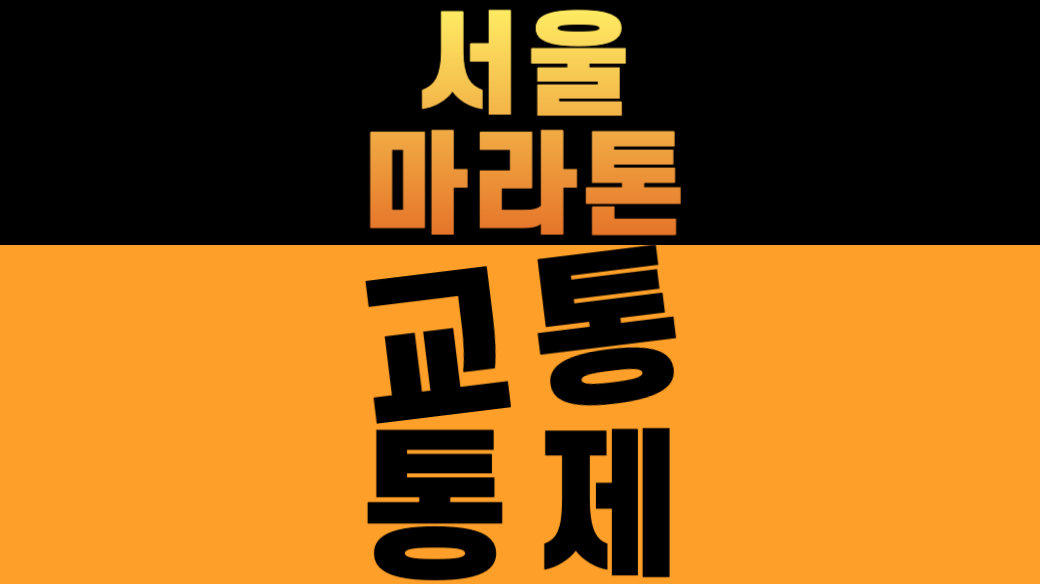 2026 서울마라톤 교통통제