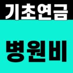 기초연금 병원비