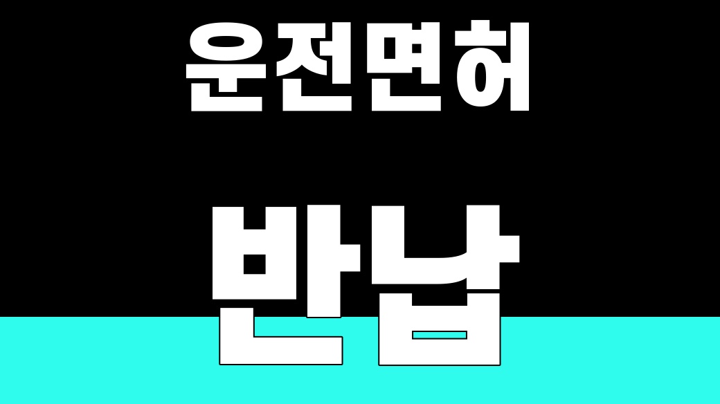 고령자 운전면허 반납 2026, 지원금 3곳 비교