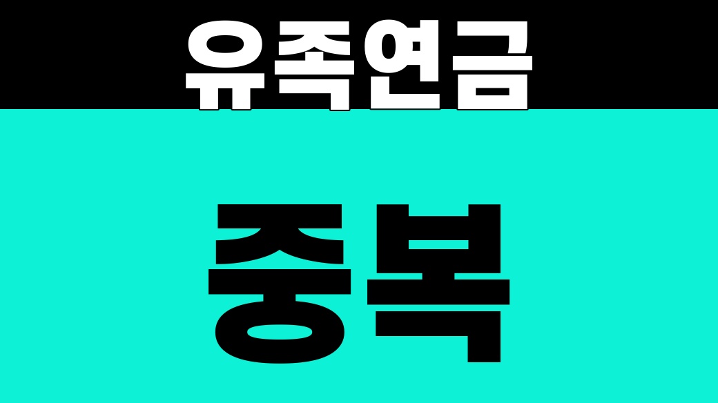 유족연금과 노령연금 중복 기준 글의 대표 이미지