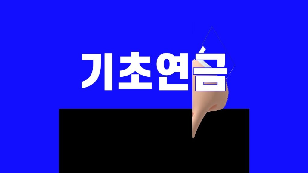 기초연금