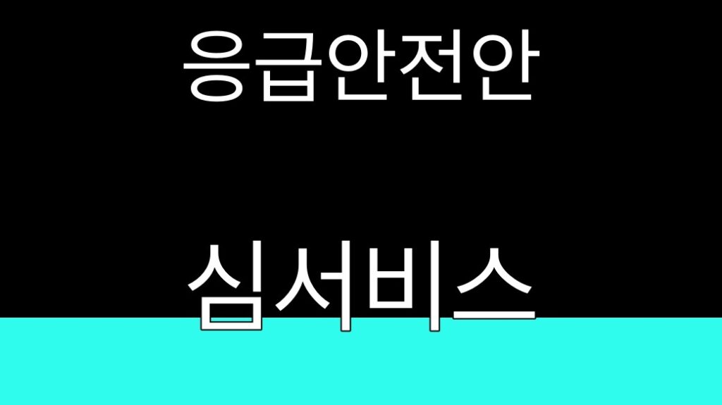 응급안전안심서비스
